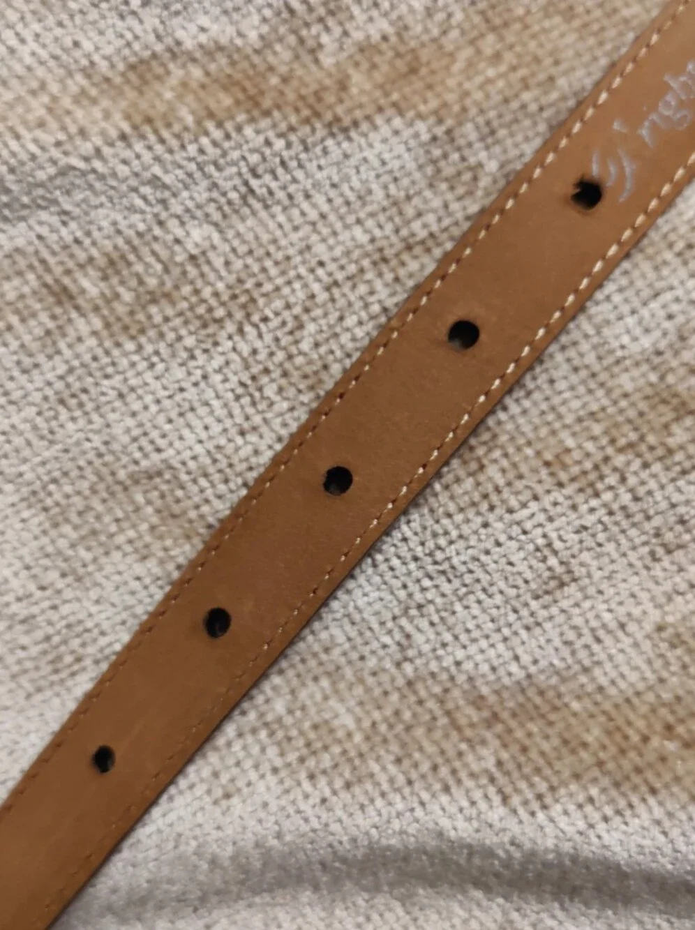 Brighton Dark Red Croc-Embossed Leather Belt with Silver Tone Buckle, Size M